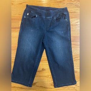 Belle by Kim Gravel Primabelle capri pants size 14